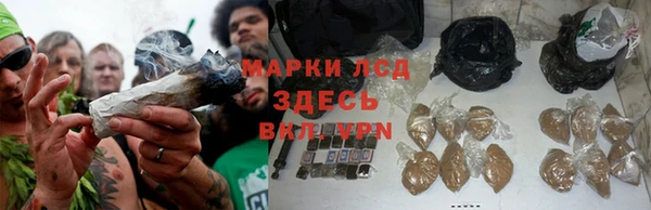 трава Майский