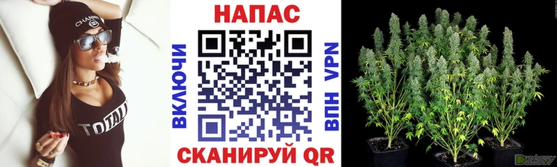 как найти закладки Чегем Шишки марихуана план
